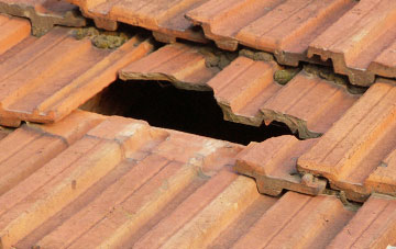 roof repair Handless, Shropshire